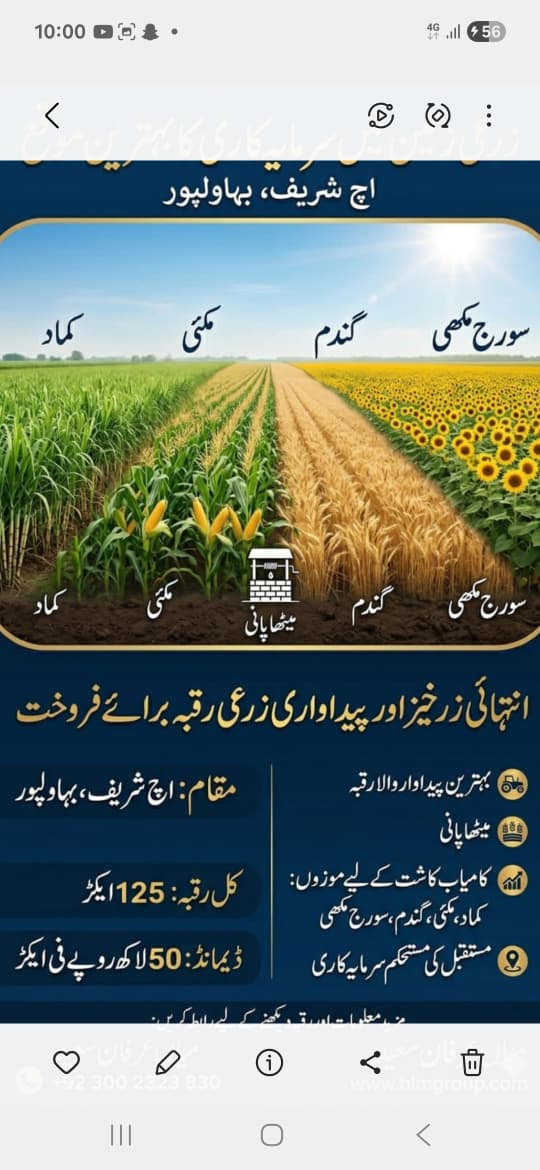 Agriculture land for sale — 125 acres highly fertile productive farmland in Hashreef, Bahawalpur. Suitable for sugarcane, corn, wheat, sunflower. Demand 50 Lakh per acre.